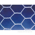 PVC Coated Galvanized Hexagonal Chicken Wire Mesh